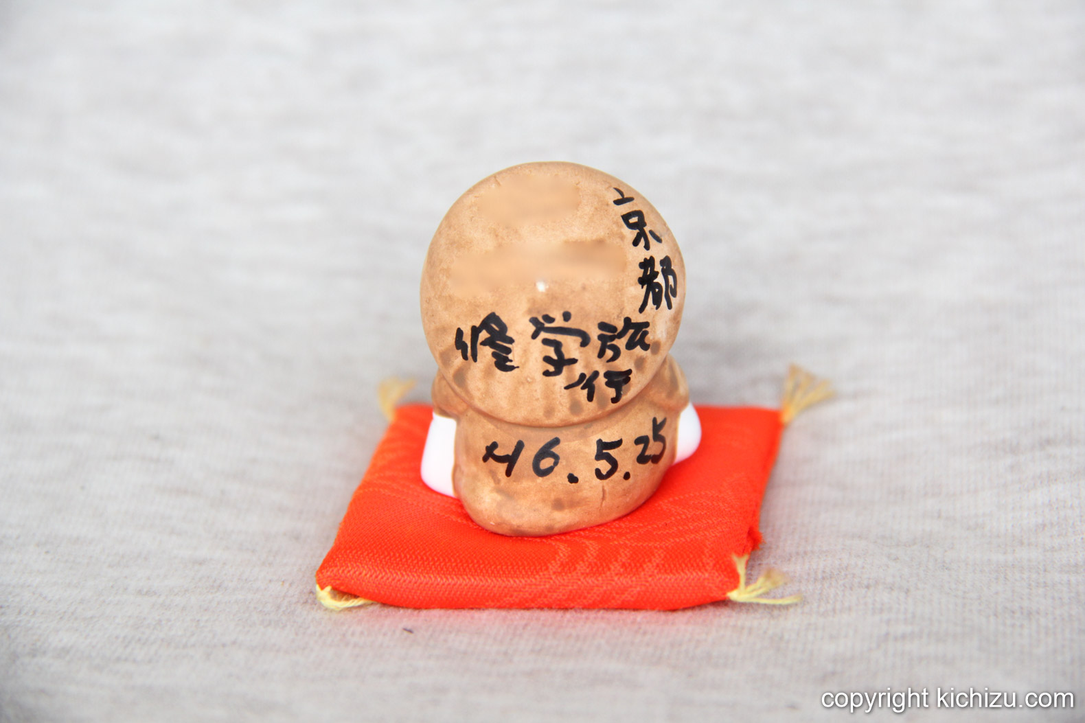 後ろ変え見ると、色違いのドラえもんに見えなくもない。