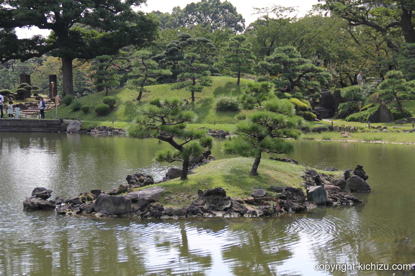 島