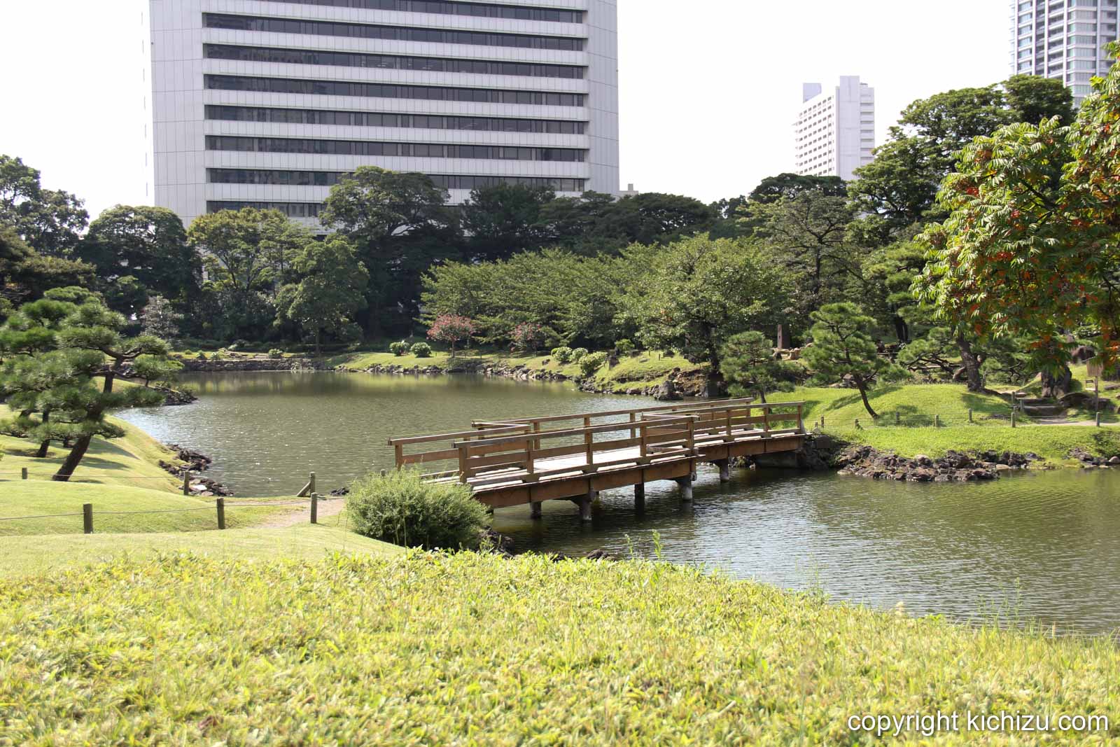 木橋