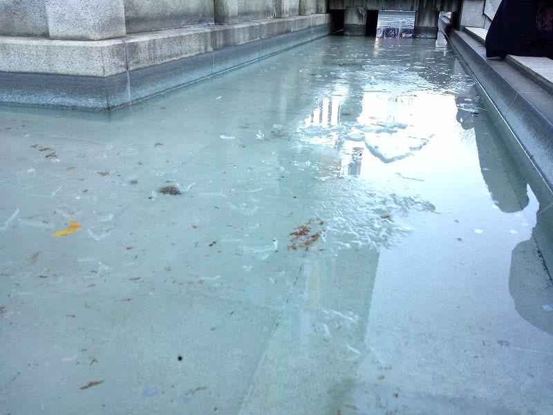 周りの水に氷が・・・