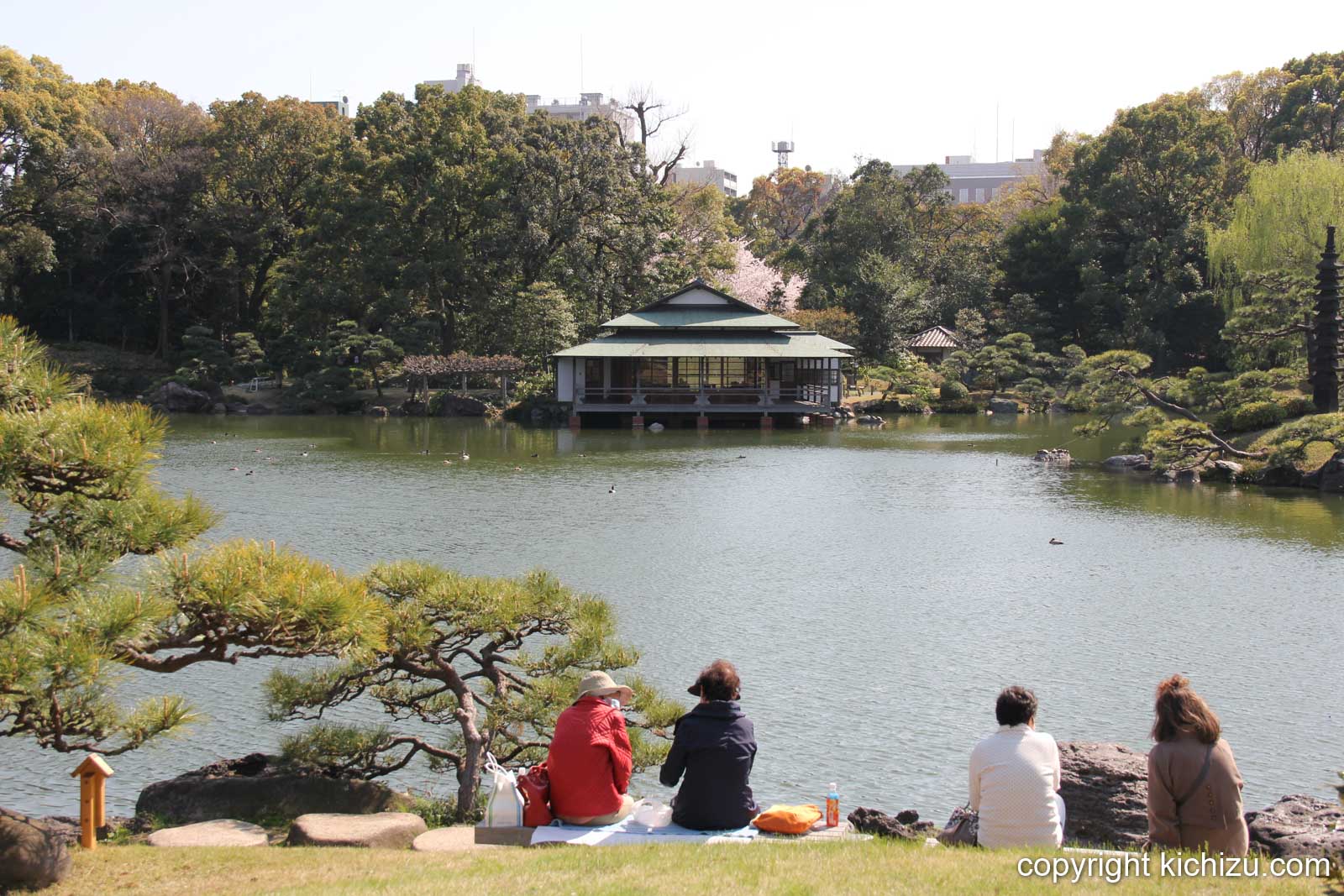 池を眺めながら休憩