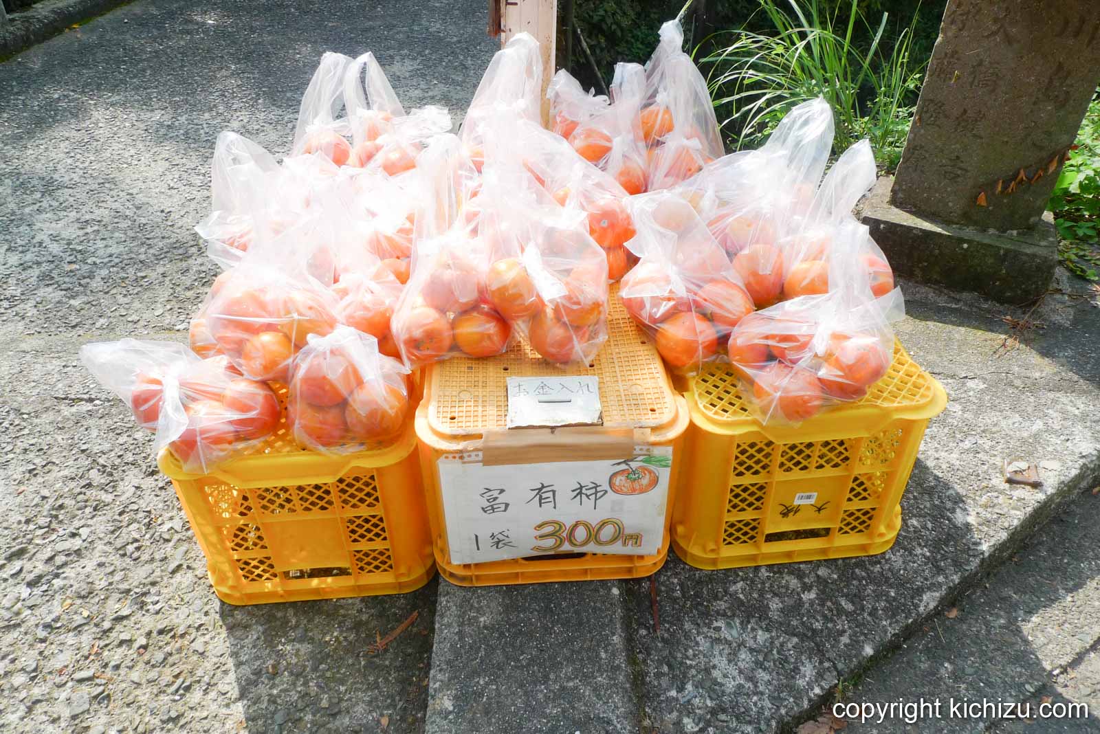 富有柿1袋300円