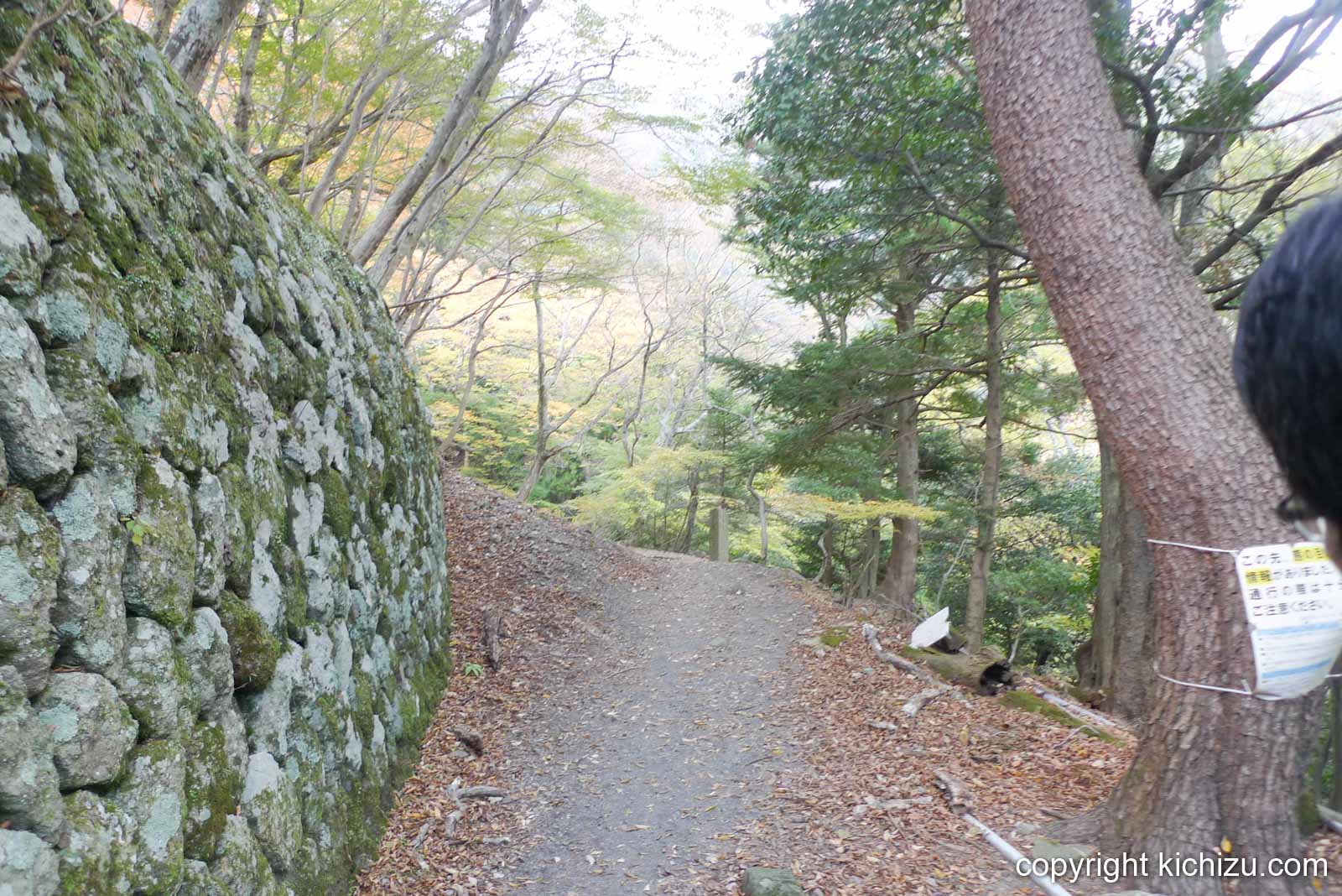 大山二重滝へ向かう山道
