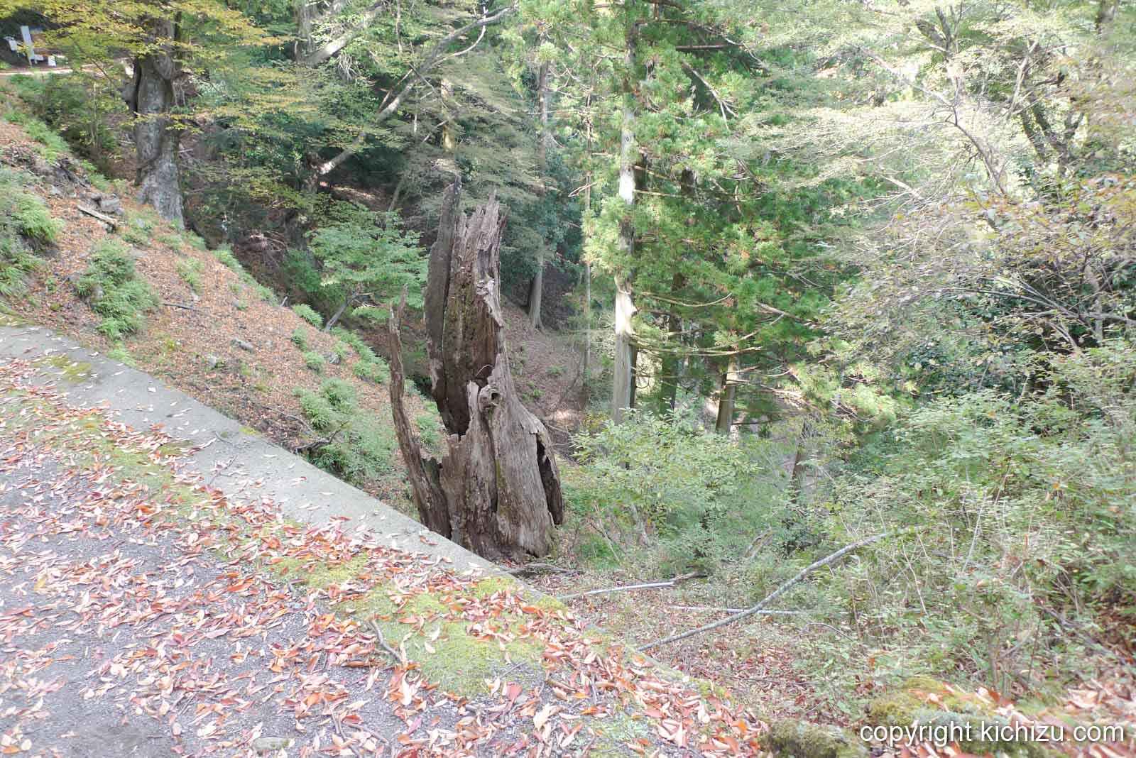 大山二重滝へ向かう山道