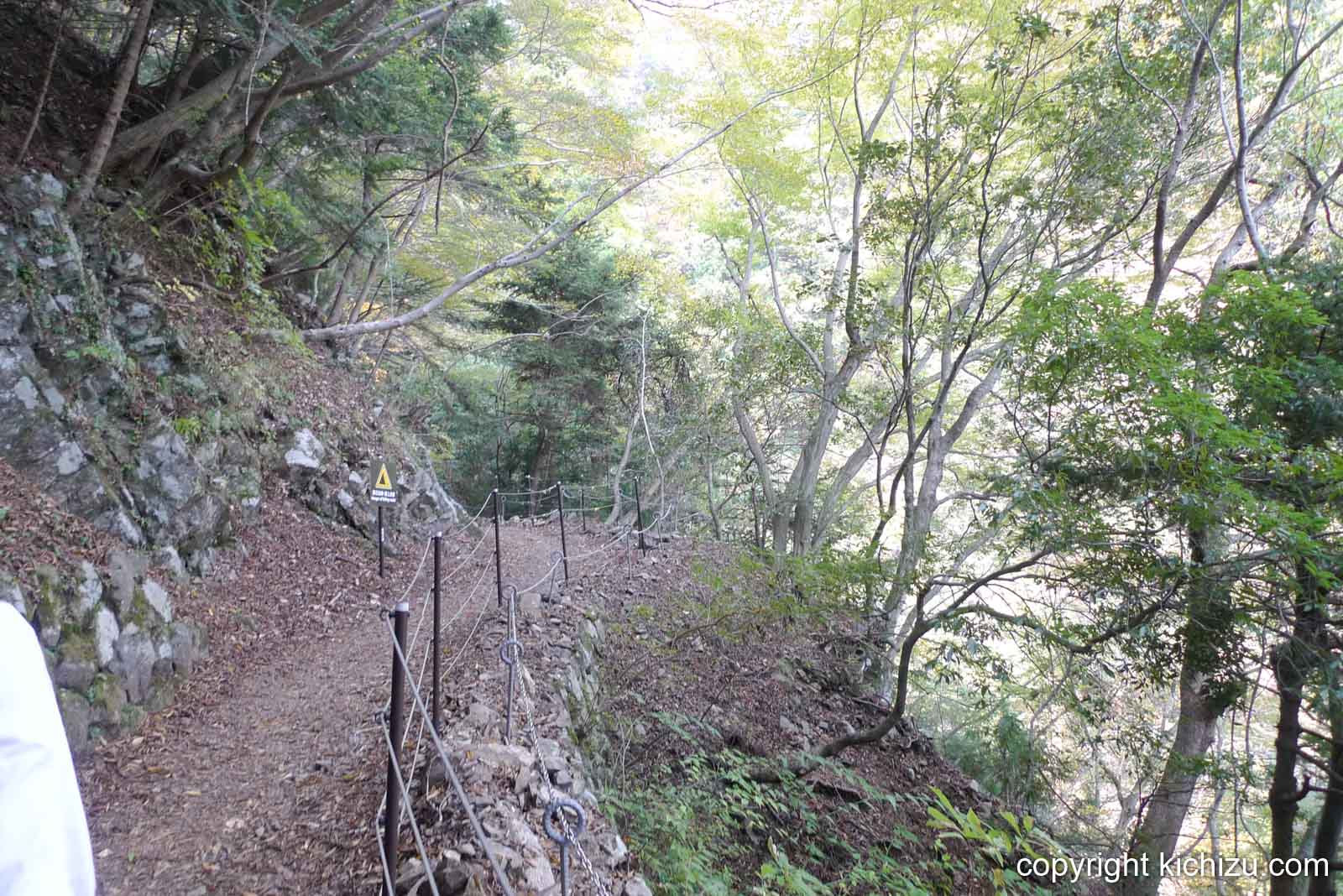 大山二重滝へ向かう山道