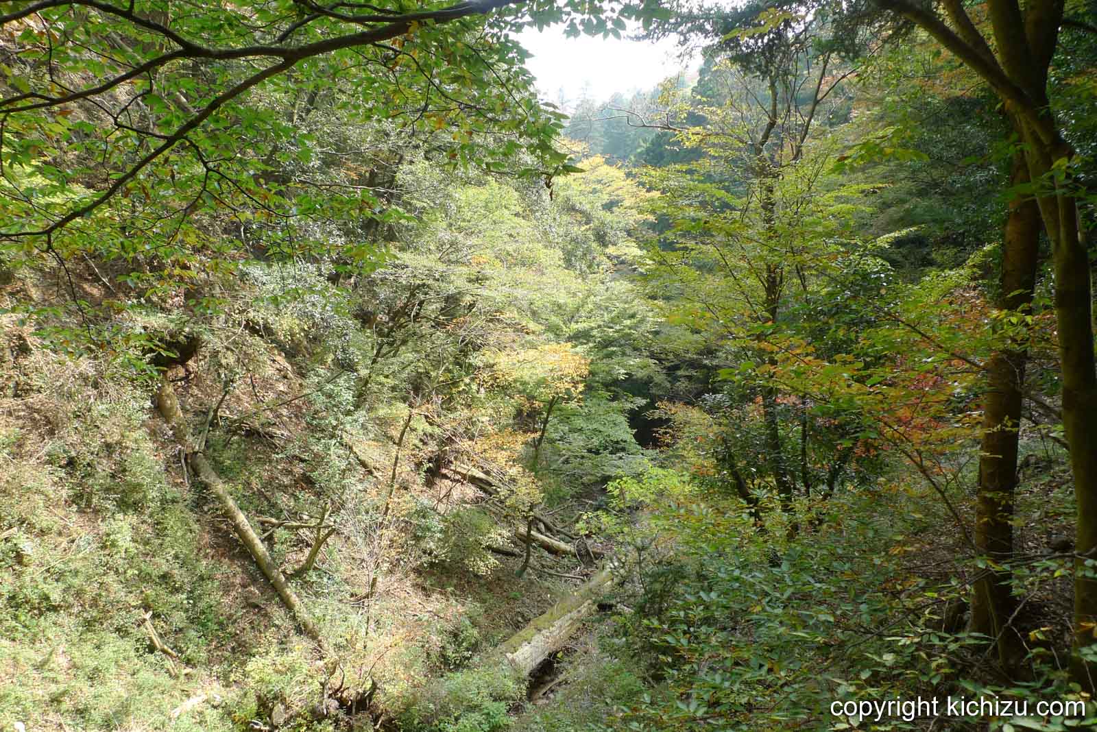 大山二重滝から見た山々