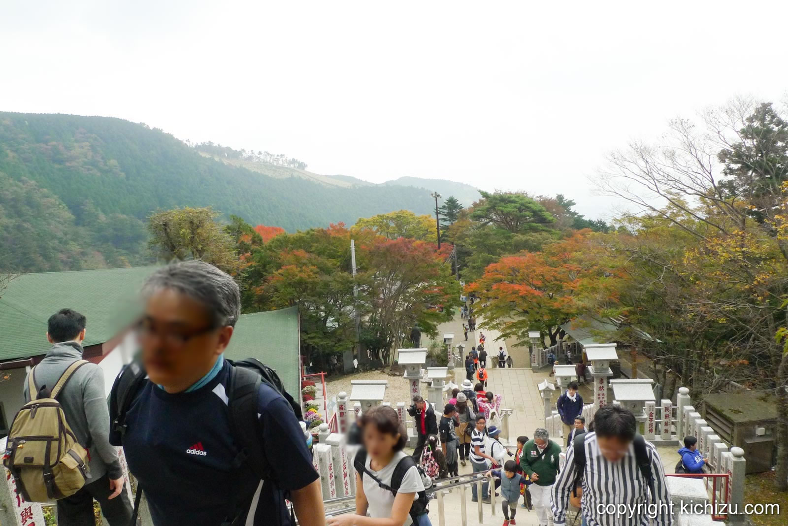 大山阿夫利神社下社に向かう階段から