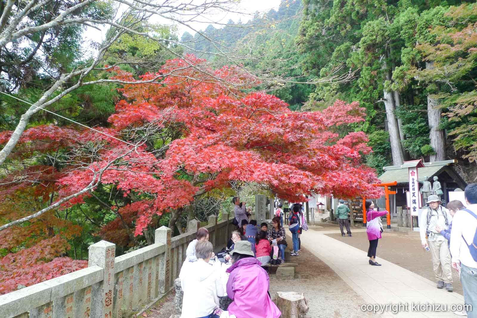 大山の紅葉
