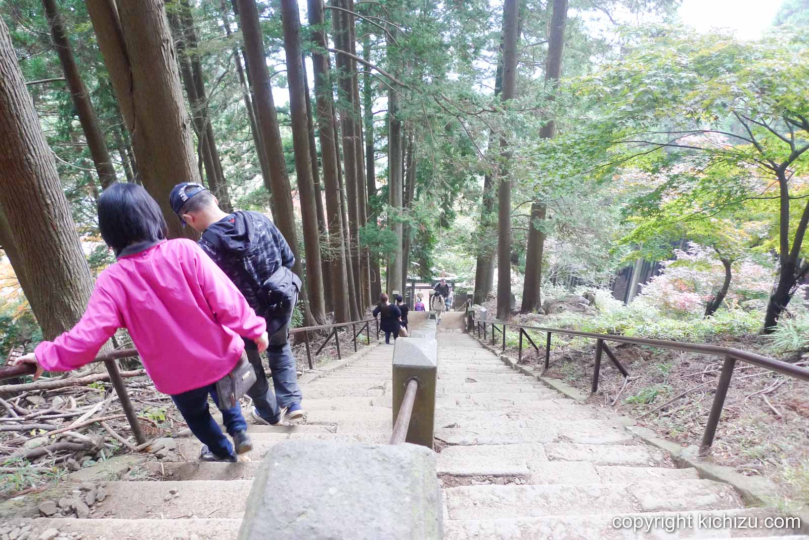 大山石段を見下ろす