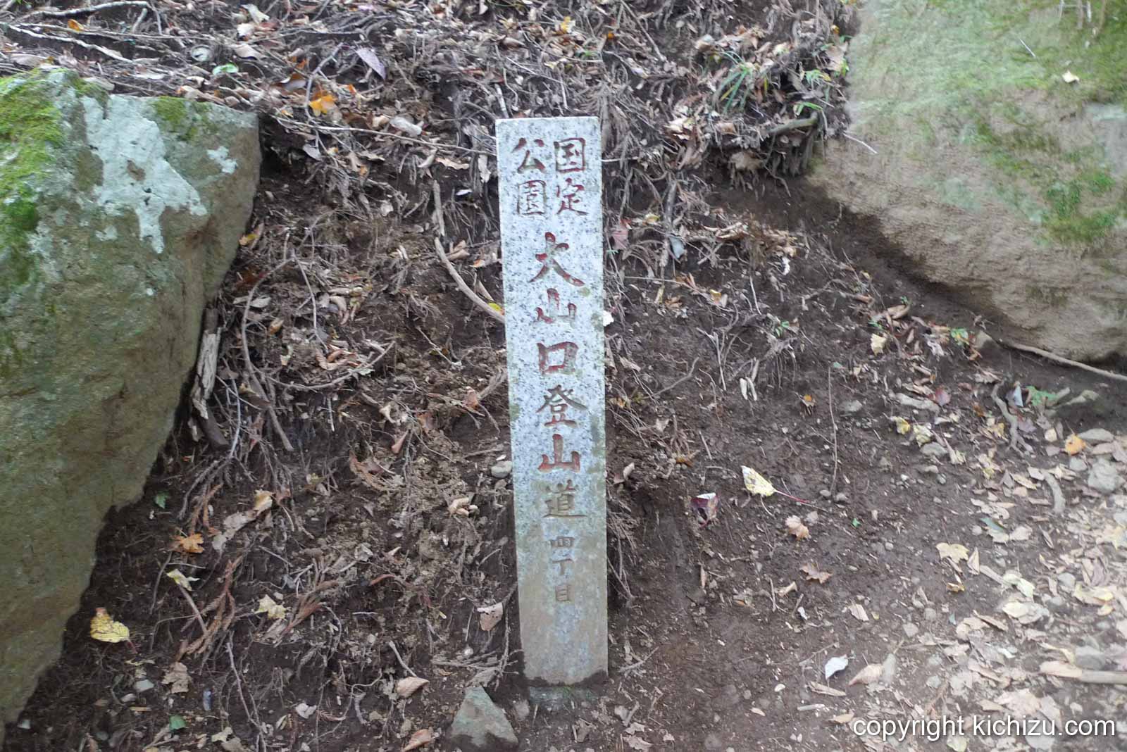 大山の登山道