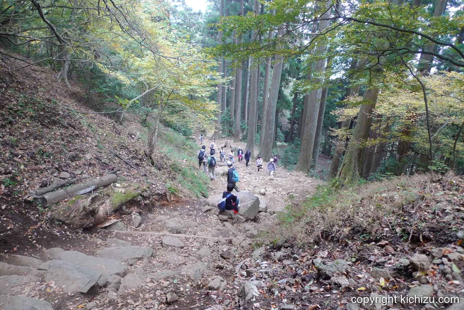 大山の山道を見下ろした様子