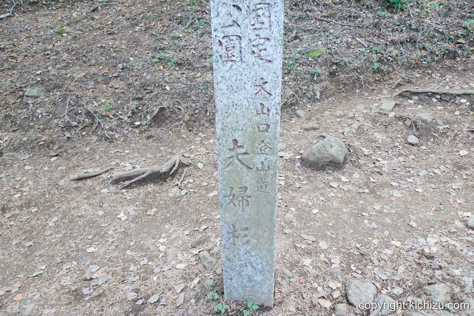 大山夫婦杉八丁目