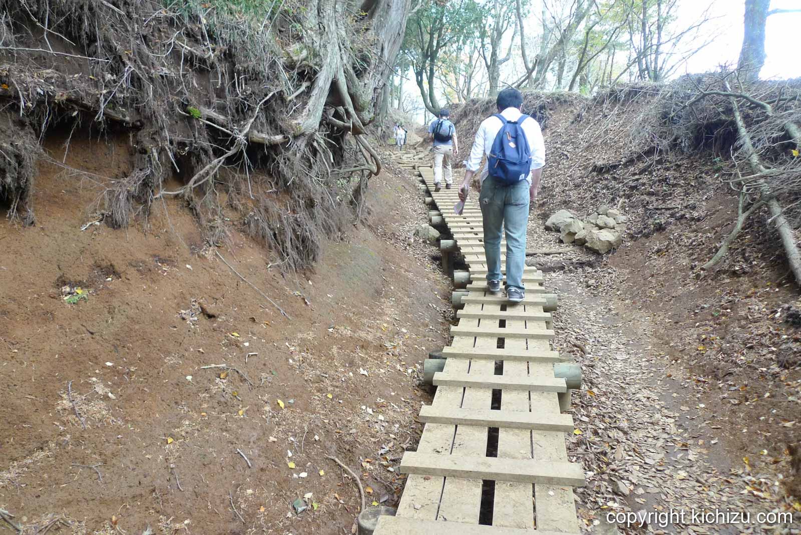 大山のすのこ道"