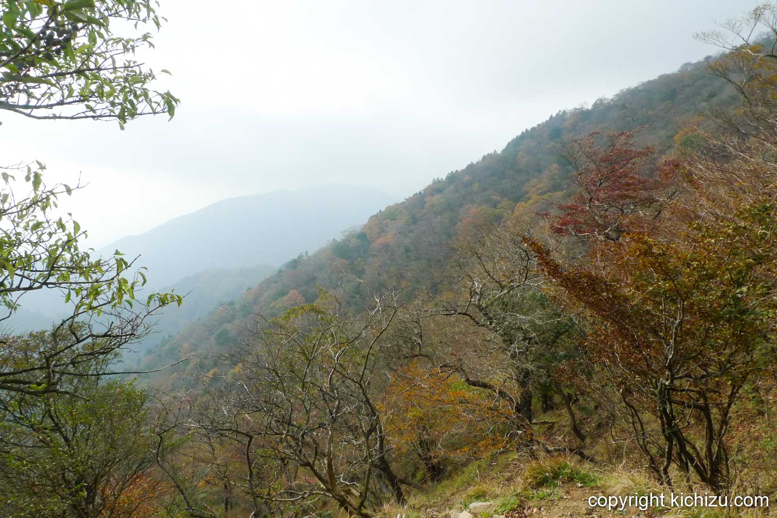 大山の山々