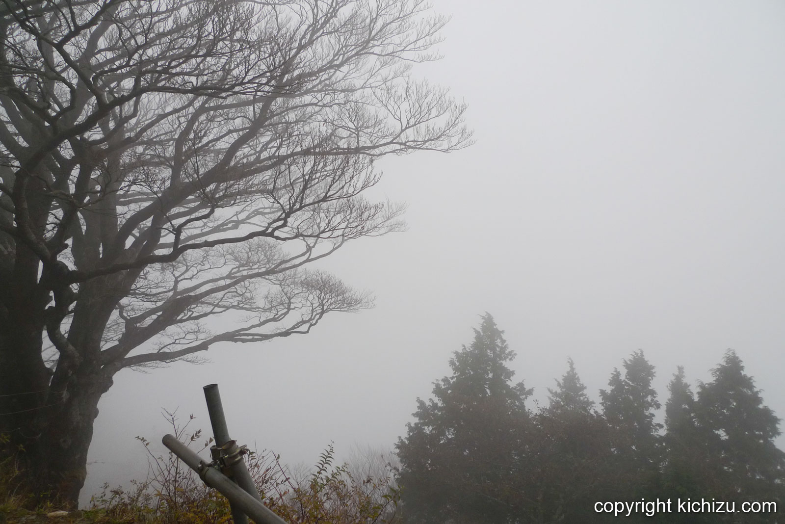 大山頂上から見た景色2